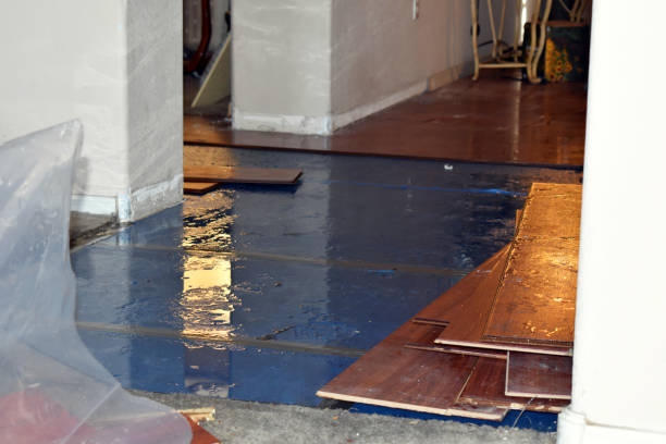 Professional Sewage Cleanup technician working in Stanwood, MI